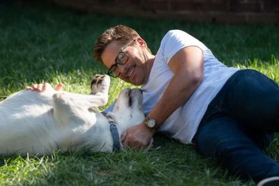 Trailer Dog Gone Dirilis, Film Netflix Terbaru Tentang Keluarga dan Anjing Peliharaan