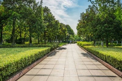 Suasana Hijau Hutan Kota Sragen, Asyik Buat Healing