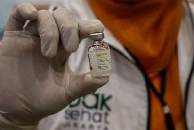 IndoVac Siap Penuhi Kebutuhan Vaksin untuk Anak yang Masih Kosong