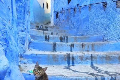 Chefchaouen: Kota Biru yang Instagenik di Maroko, Bikin Mata Fresh!