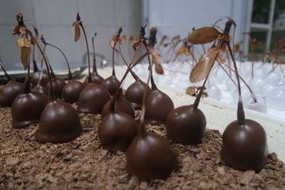 Butik Ini Memproduksi 120 Varian Cokelat Premium, Ada Rasa Rempah dan Turkish Delight