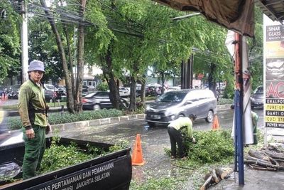 Hujan Lebat, 2 RT di Jaksel Tergenang dan Satu Pohon Roboh Akibat Angin Kencang
