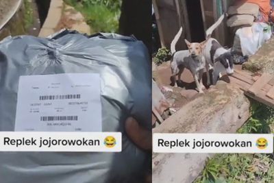 Lika-liku Perjuangan Kurir Antar Paket, Langkah Hampir Terhenti karena Digonggong Anjing
