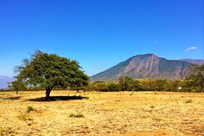 Road Trip ke Banyuwangi saat Akhir Tahun, Jangan Lupa Kunjungi 4 Destinasi Ini!