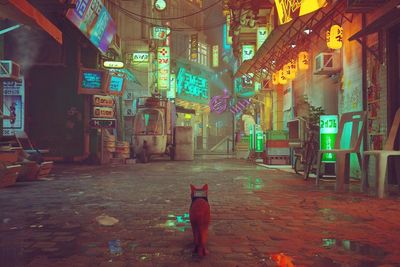 5 Game PS5 Terbaik dengan Grafik Fantastis dan Realistis
