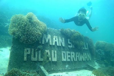 4 Destinasi Wisata di Indonesia Ini Vibesnya Avatar Banget!