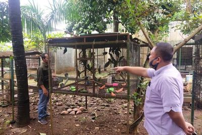 3 Orang Ditangkap di Lampung Buntut Jual Ratusan Hewan Dilindungi