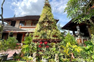 Indahnya Toleransi di Bali, Ada Pohon Natal Go Green dari Ratusan Tanaman Hias