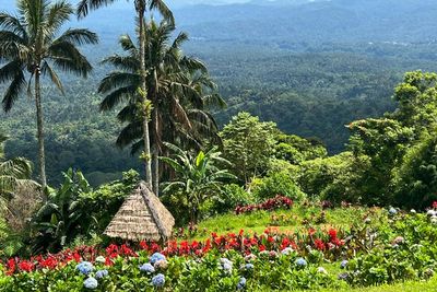 Tetetana: Rekomendasi Tempat Camping di Minahasa, Bisa Melihat 4 Wilayah dari Atas Bukit