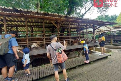 Rekomendasi Wisata Edukatif untuk Liburan Anak di Bogor, Si Kecil Pasti Senang!
