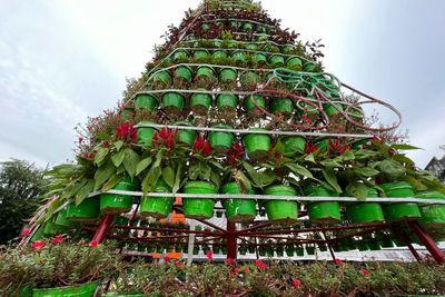Indahnya Toleransi, Pohon Natal Raksasa di Manado Ternyata Dibuat Bersama Umat Muslim