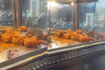 Viral Video Tikus Gerayangi Ayam Goreng, Sebuah Gerai Ditutup di Kuala Lumpur Malaysia