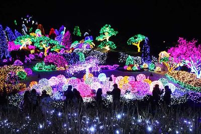 Wisata Natal di Korea Selatan, Garden of Morning Calm Suguhkan Ribuan Spesies Tanaman