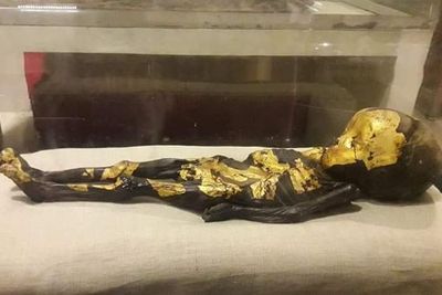 Misteri Mumi Anak Emas Ditemukan di Mesir, Bukti Berasal dari Keluarga Kaya Raya