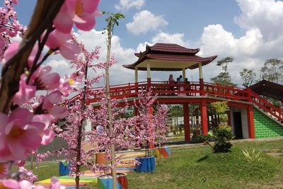 Enggak Nyangka! Di Lereng Gunung Kelud Ada Kampung Korea, Rekomendasi Liburan Akhir Tahun
