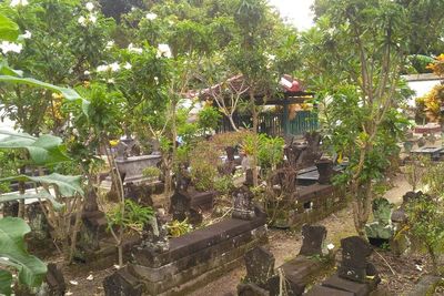 Ngeri! Mitos Pesawat Akan Jatuh Jika Berani Melintasi Makam Wotgaleh Yogyakarta