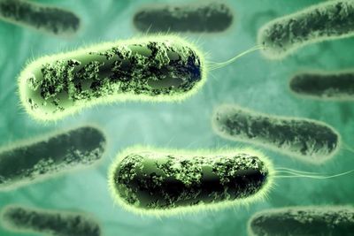 Gejala Amoeba Pemakan Otak yang Serang Pria di Korsel Ternyata Mirip Meningitis