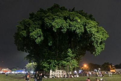 4 Hal Bisa Dilakukan di Alun-Alun Kidul Jogja, Tempat Dipercaya Bisa Mengabulkan Hajat