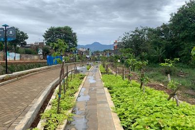 Keren! Bantaran Sungai di Bandung Disulap Jadi Ruang Terbuka Hijau Sekeren Ini