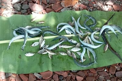 Irit Budget, Tahun Baruan Anak Pesisir Lombok Cuma di Pantai Sambil Lakukan Ini