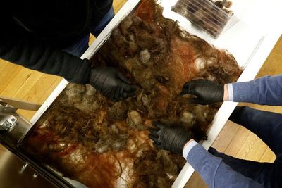 Gak Dibuang, Salon di Belgia Olah Rambut Pelanggan Jadi Produk Ramah Lingkungan