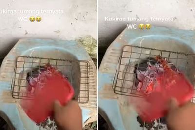 Duh! Pria Ini Pakai Kloset WC Bekas Jadi Wadah Bakar Daging, Auto Dihujat Jorok