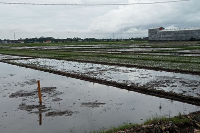 Ribuan Warga Terdampak Tol Kediri-Tulungagung, Isu Uang Ganti Untung 3 Kali Lipat Beredar!