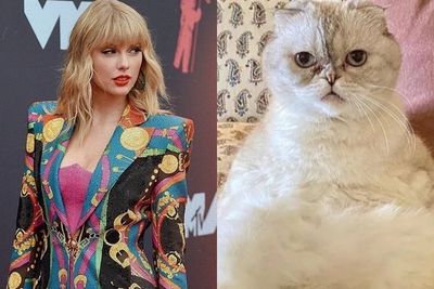 Bukan Main, Kucing Taylor Swift Dinobatkan Jadi Hewan Peliharaan Terkaya di Dunia