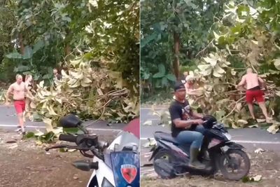 Aksi WNA Pindahkan Pohon Tumbang di Bali Tuai Pujian: Mantap Mister!