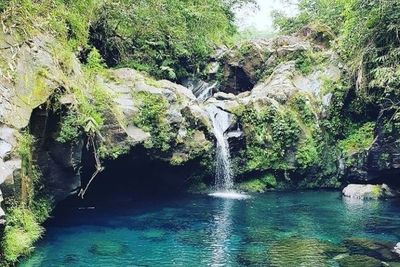 Sobat Introvert Merapat! Ini 3 Rekomendasi Wisata Alam Dijamin Bikin Tenang