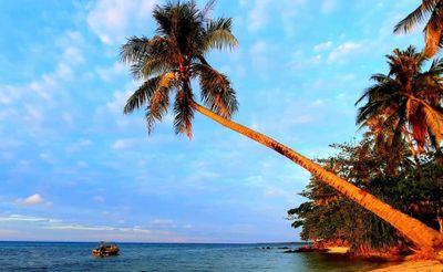Tips Liburan Murah ke Karimunjawa 3 Hari 2 Malam: Seru, Hemat, dan Bebas Eksplorasi!