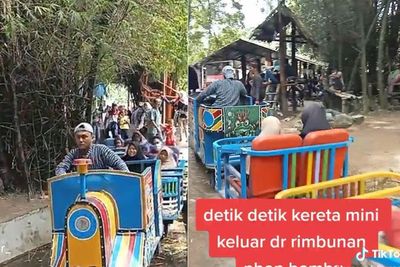 Antimainstream! Kereta Api Ini Melaju di Hutan Bambu, Lintasannya Nguji Adrenalin