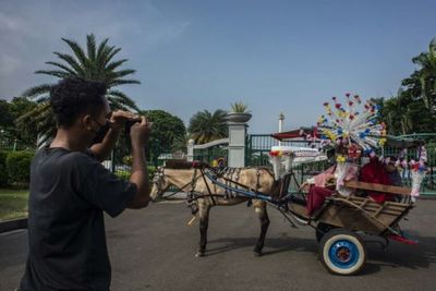 Delman Dilarang Beroperasi di Monas, Puluhan Kusir akan Geruduk Kantor Gubernur DKI