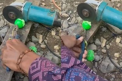 Bising! Mainan Lato-lato Dipotong Pakai Gerinda, Netizen: Harimau Pun Terbangun Gegara Ini