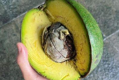 Chef Renatta Pamer Potongan Alpukat Jumbo dari Ambarawa, Netizen: Kukira Inti Planet