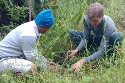 Uniknya Desa Wisata Golo Loni yang Wajibkan Wisatawannya Tanam Bambu, Termasuk Bule