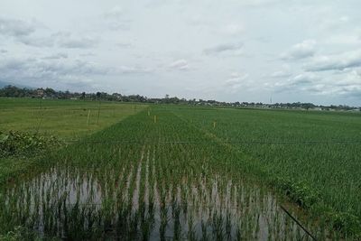 Imbas Rencana Tol Tulungagung-Kediri, 6 Aset Pemkab Terancam Rata dengan Aspal