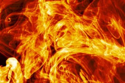 KKB Berulah Lagi! Bakar Kantor Dukcapil di Kabupaten Pegunungan Bintang Papua