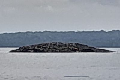 Fenomena Kemunculan Pulau Baru di Tanimbar Maluku Usai Diguncang Gempa M 7,5