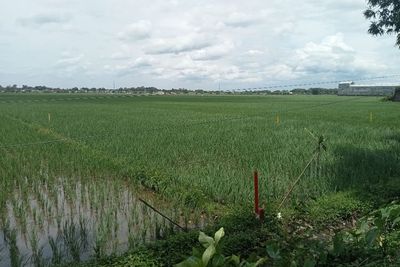 Tok! Lokasi Tol Kediri-Tulungagung Telah Ditentukan, Begini Penentuan Uang Ganti Untung
