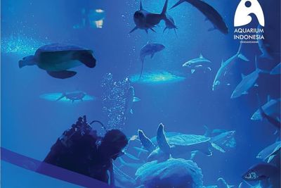 Kerennya Aquarium Indonesia Pangandaran, Salah Satu Aquarium Terpanjang di Indonesia