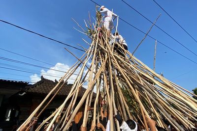 Sejarah Mekotek di Bali, Tradisi Tolak Bala yang Sempat Membawa Bencana saat Dilarang