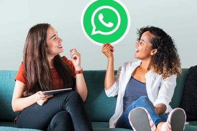 Tips Jadi Teman Ngobrol yang Asyik di WhatsApp Berdasarkan Shio di Tahun Kelinci