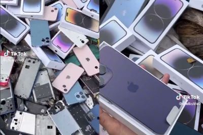 Lagi Dumpster Diving di Dubai, Eh Dapat iPhone 14 Pro Max: Hoki 1 Tahun Kepake!