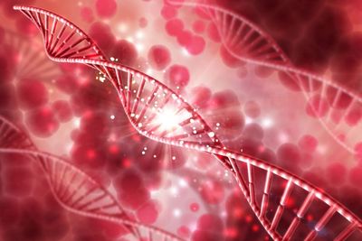 Mengenal Pengobatan Stem Cell yang Masih Kontroversi di Indonesia