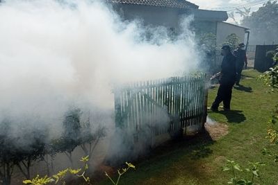 18 Warga Gilang Tulungagung Positif Chikungunya, Dinkes Lakukan Fogging