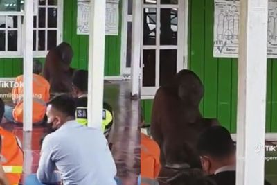 Waduh! Orang Utan Santai Duduk di Masjid dan Ikut Dengerin Khutbah Jumat, Netizen Heran