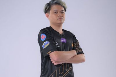 RRQ Hoshi Raih Penghargaan Fan Choice Awards, RRQ Vyn: Sekumpulan Player Biasa Aja