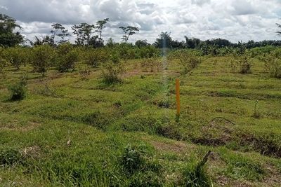 Sejumlah Infrastruktur Terdampak Tol Kediri-Tulungagung, Pemkab Janjikan Solusi