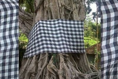 Alasan Pepohonan di Bali Diikat Kain Hitam Putih, Ternyata Bukan Buat Hiasan